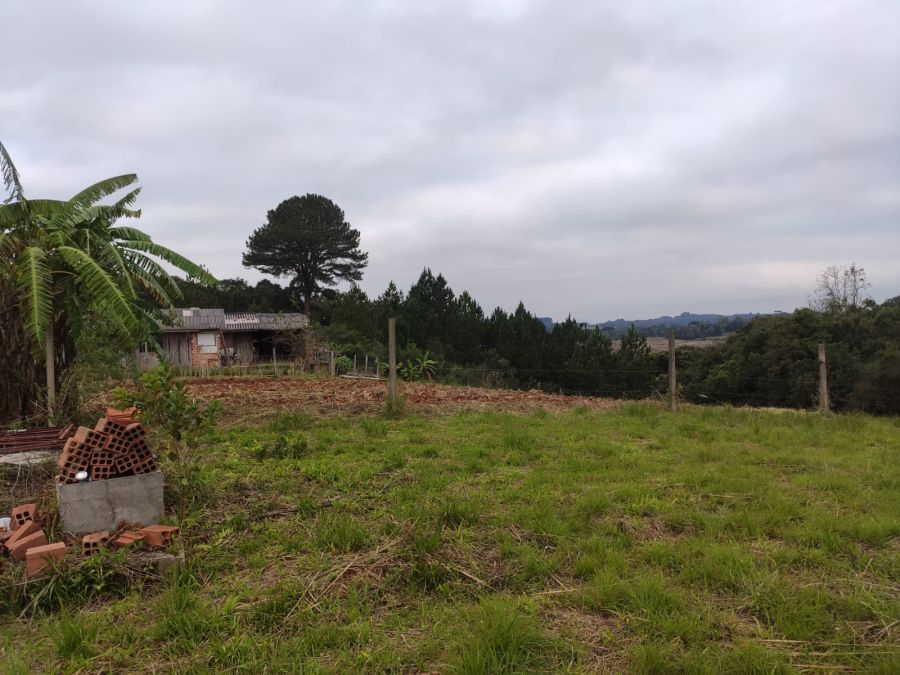 Terreno - Venda - Parque da Fonte - S�o Jos� dos Pinhais - PR