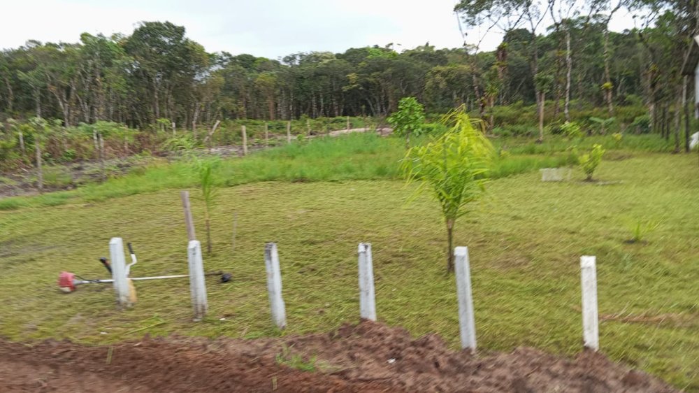 Terreno - Venda - Carmeri - Pontal - PR